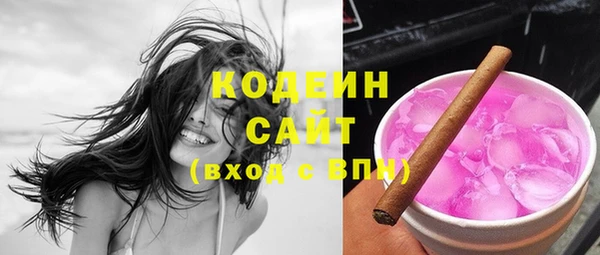 сатива Инсар