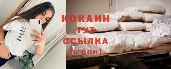 сатива Инсар