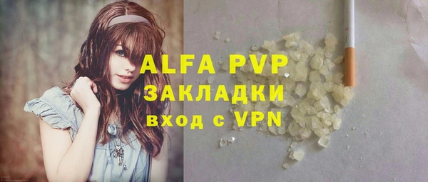 сатива Инсар