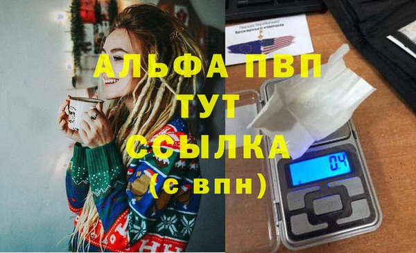 шишки Иннополис