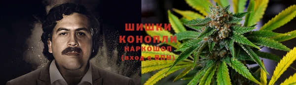 шишки Иннополис