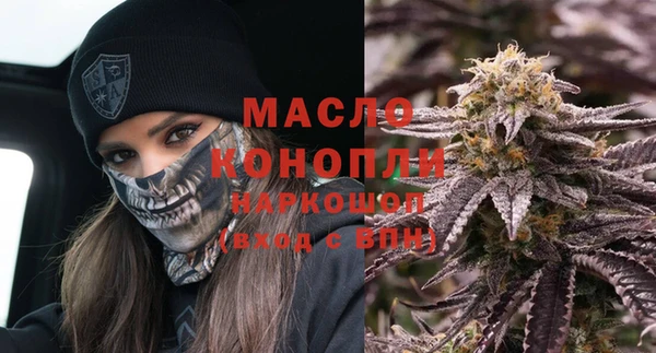 сатива Инсар