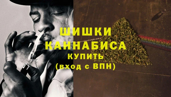 шишки Иннополис