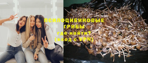 сатива Инсар