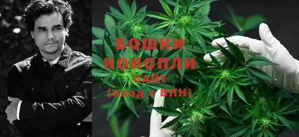 шишки Иннополис