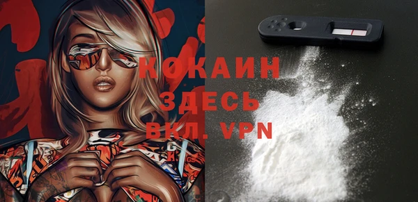 сатива Инсар