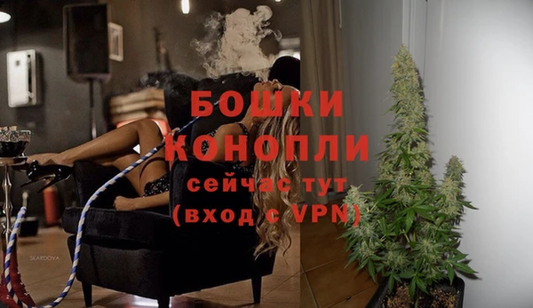 шишки Иннополис