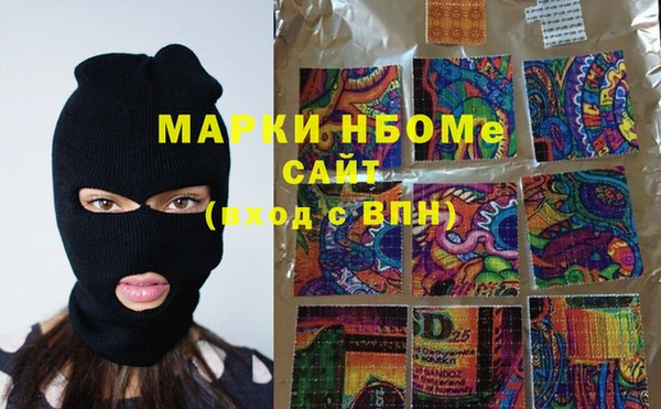 сатива Инсар