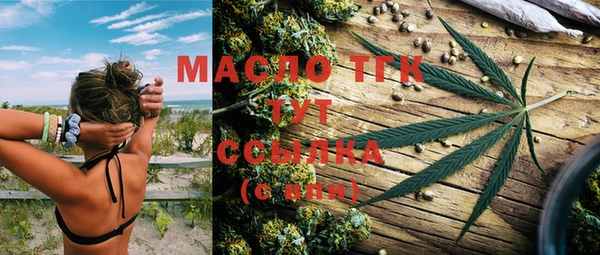 сатива Инсар